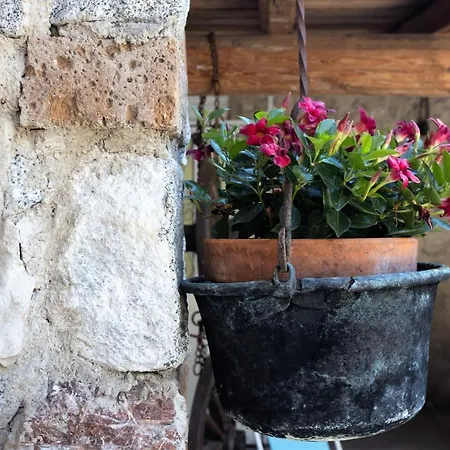 Casa Rita 3 - Lago Di Garda *